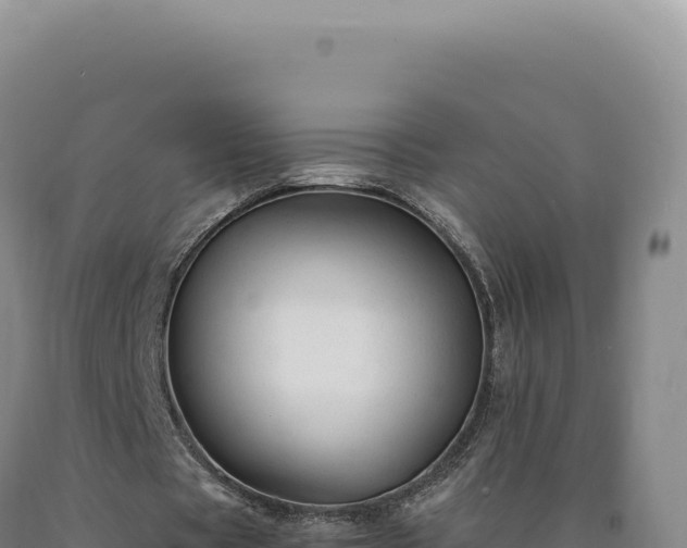 X0000090760529200707271508