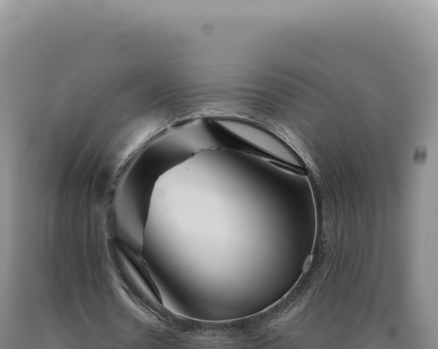 X0000090760530200707271508