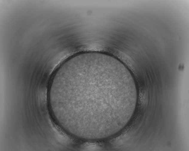 X0000090760534200707271508