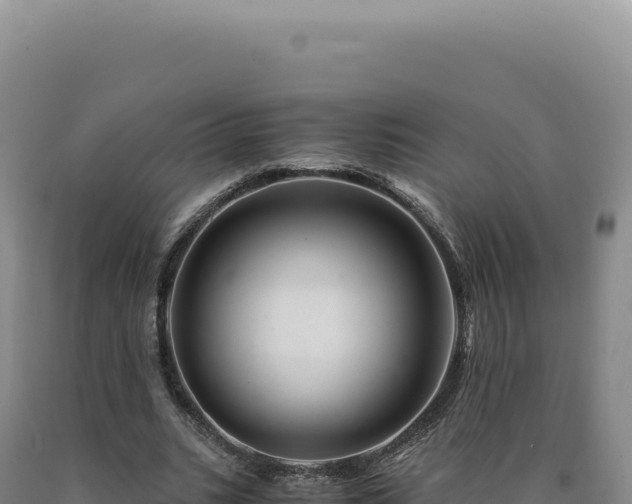 X0000090760535200707271508