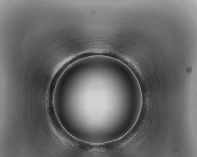 X0000090760536200707271508