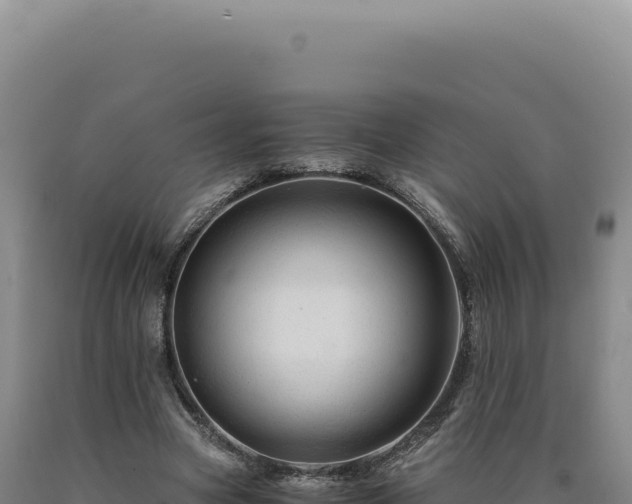 X0000090760537200707271508