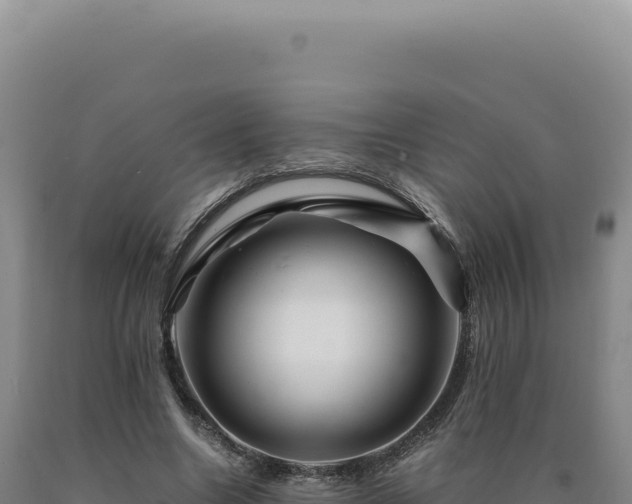 X0000090760538200707271508