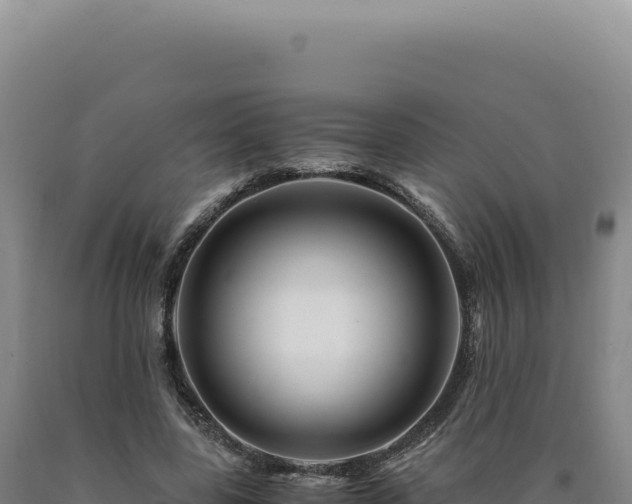 X0000090760539200707271508