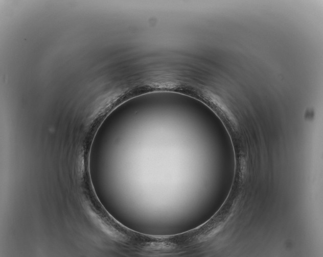 X0000090760541200707271508