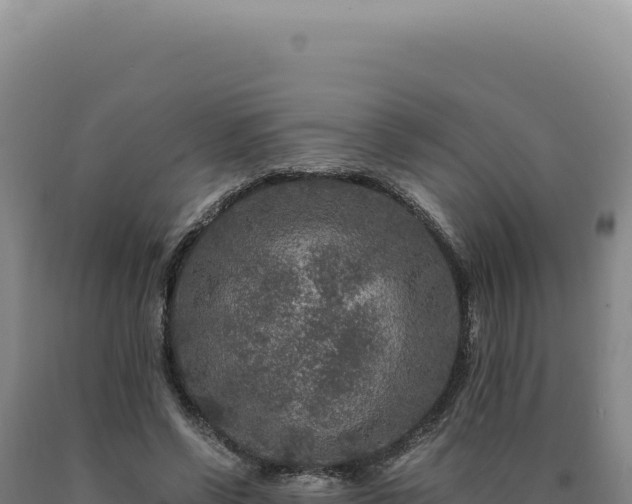 X0000090760542200707271508