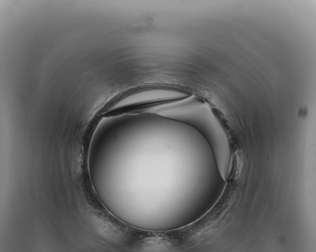 X0000090760544200707271508