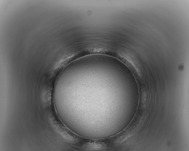 X0000090760545200707271508