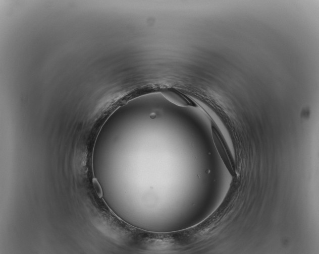 X0000090760548200707271508