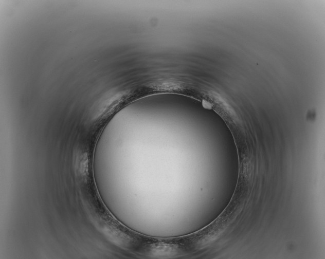 X0000090760549200707271508