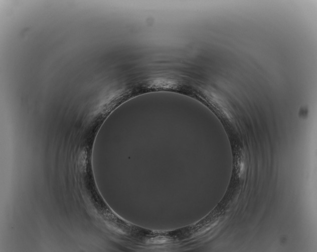 X0000090760551200707271508