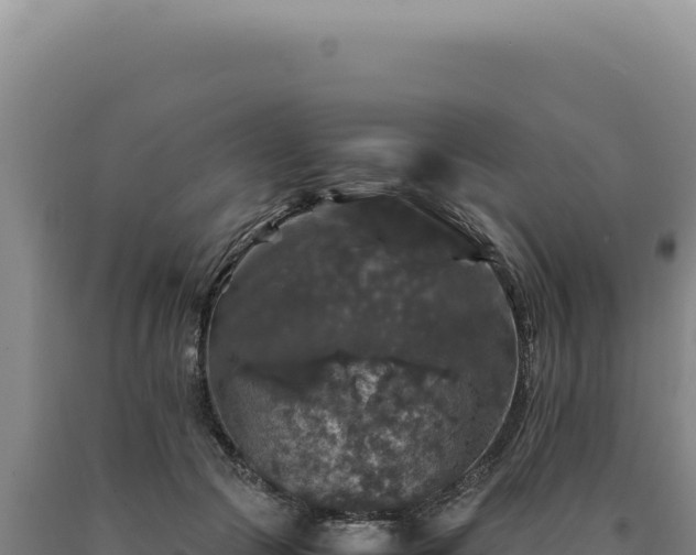 X0000090760553200707271508