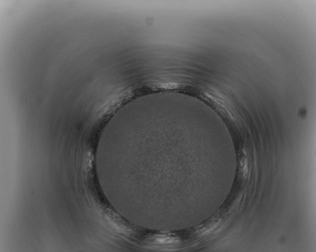 X0000090760555200707271508