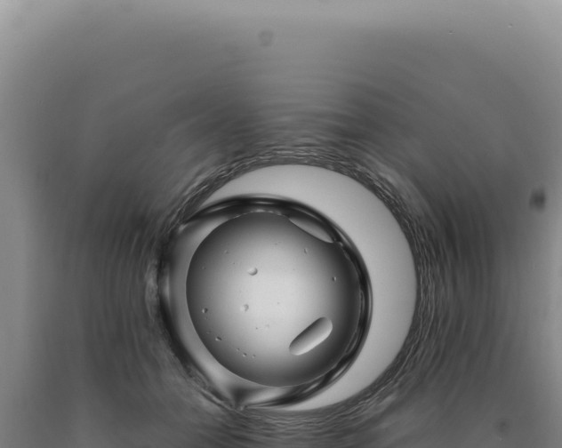 X0000090760558200707271509