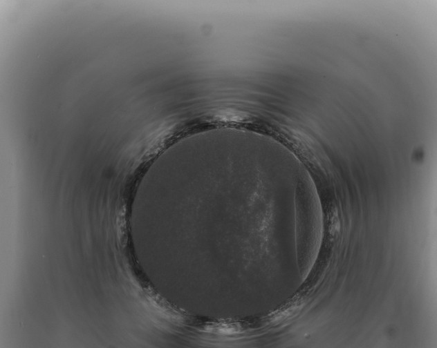 X0000090760559200707271509