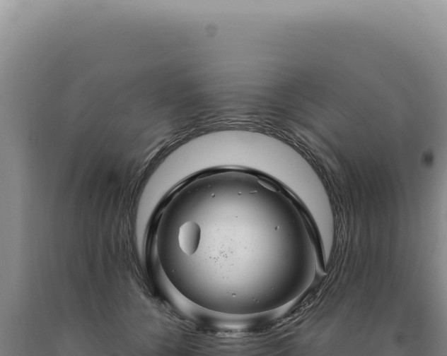 X0000090760560200707271509