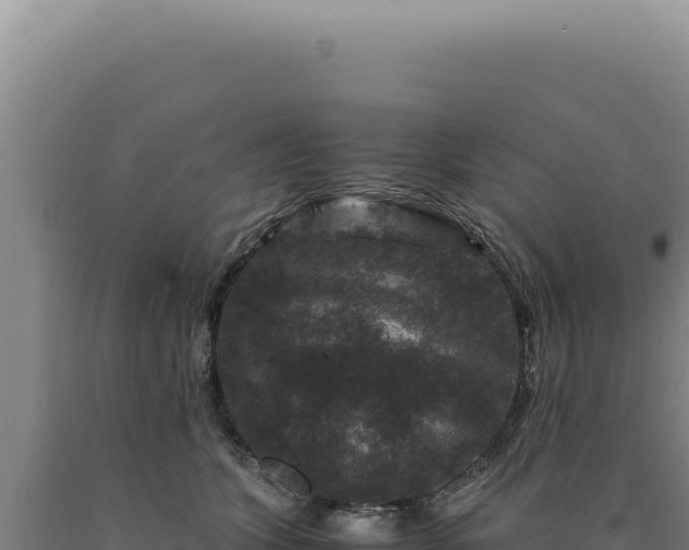 X0000090760563200707271509