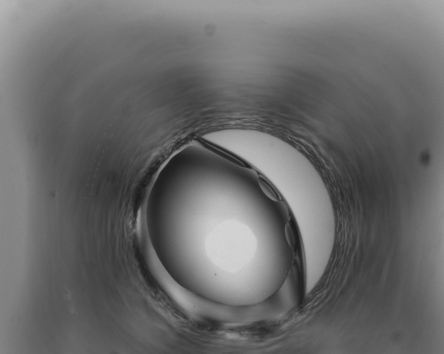 X0000090760564200707271509