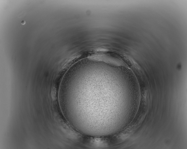 X0000090760565200707271509