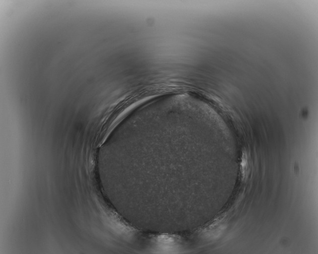 X0000090760566200707271509