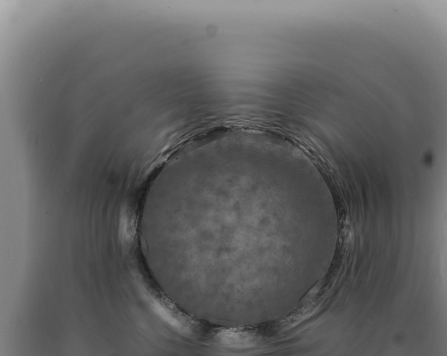 X0000090760568200707271509