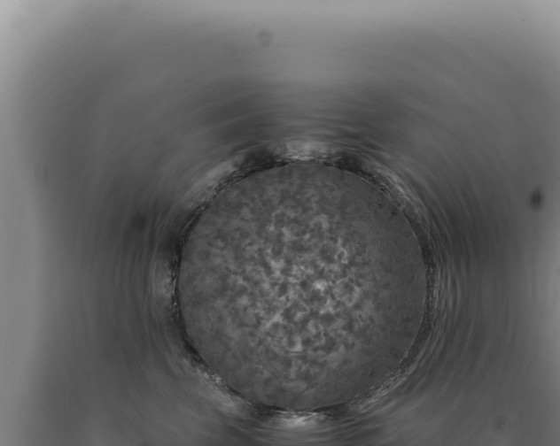 X0000090760569200707271509