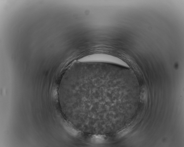 X0000090760573200707271509