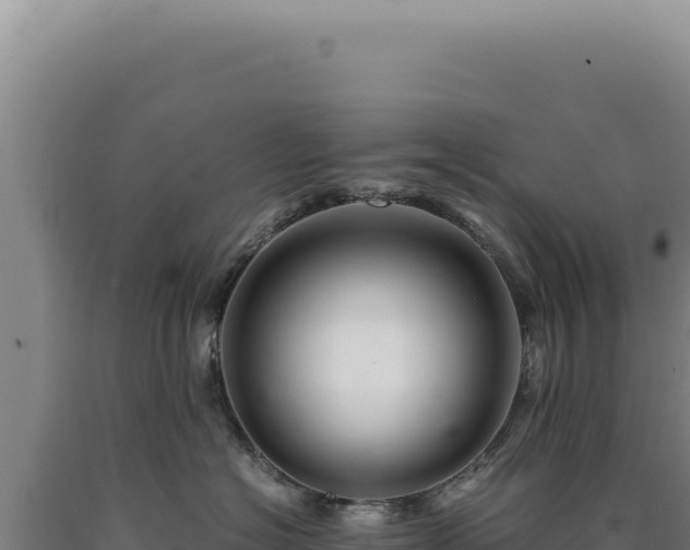 X0000090760574200707271509