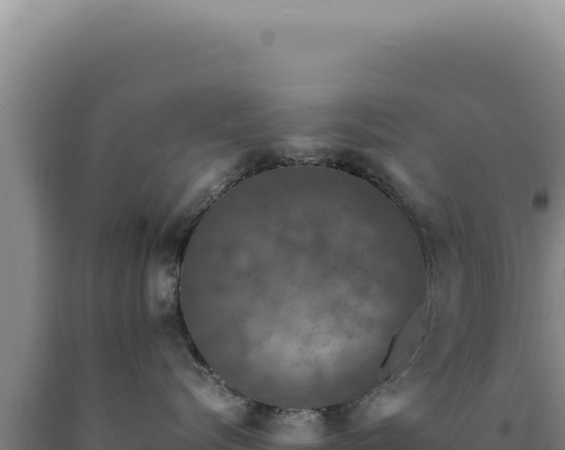 X0000090760576200707271509