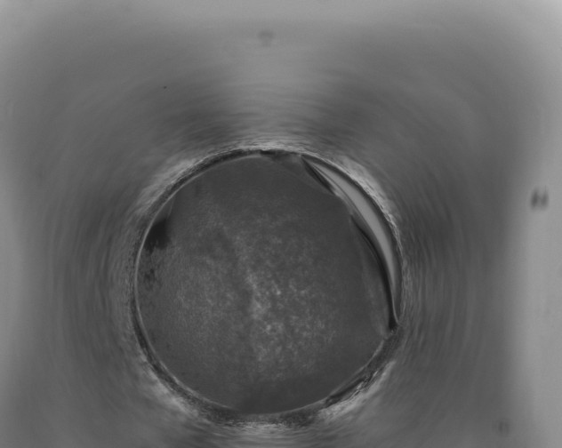 X0000090760577200707271508