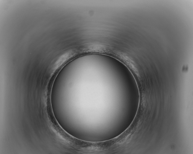 X0000090760578200707271508