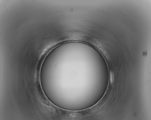 X0000090760579200707271508