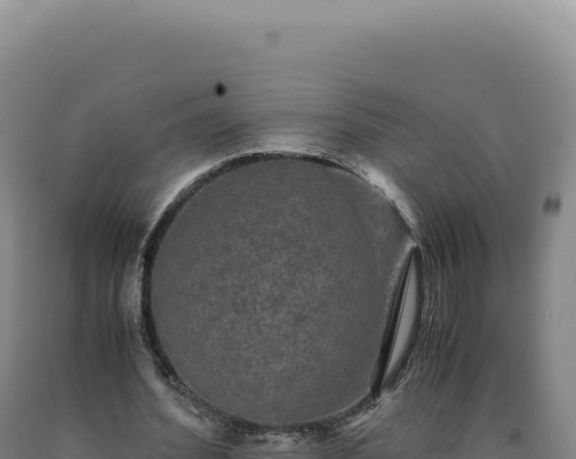 X0000090760580200707271508