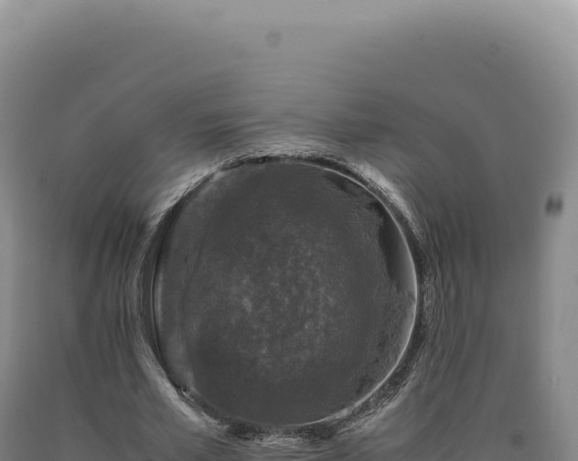 X0000090760581200707271508