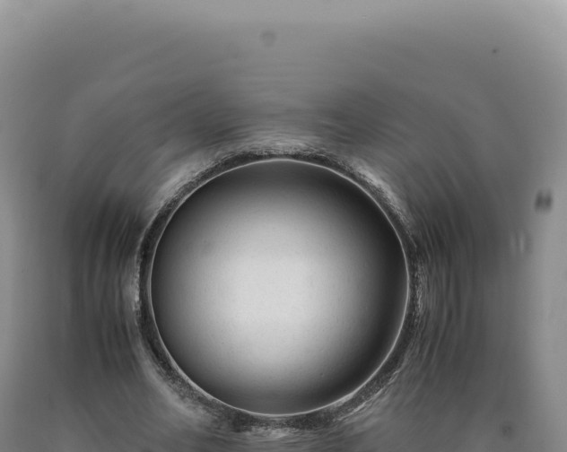 X0000090760582200707271508