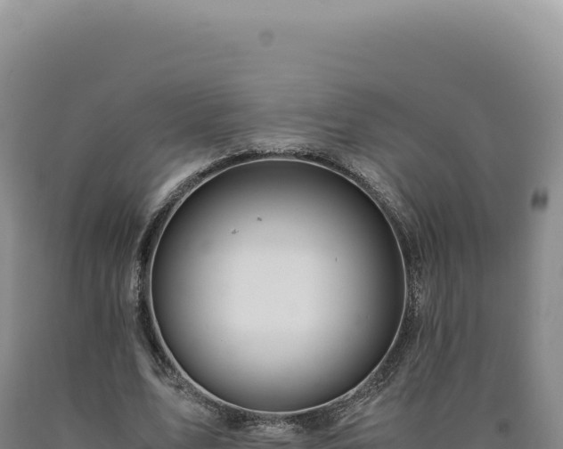 X0000090760583200707271508