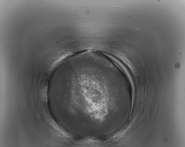 X0000090760585200707271508