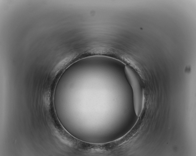 X0000090760586200707271508