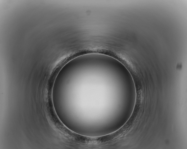 X0000090760587200707271508