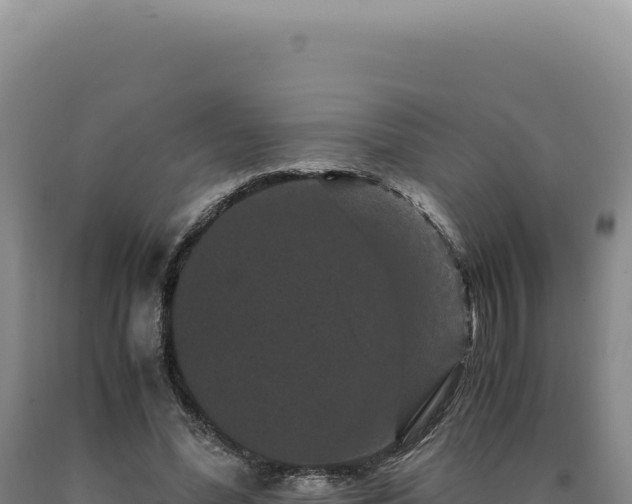 X0000090760588200707271508