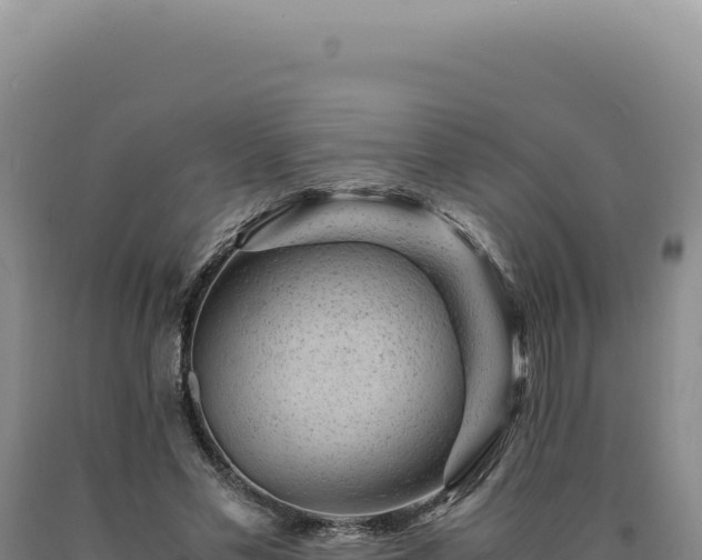 X0000090760589200707271508