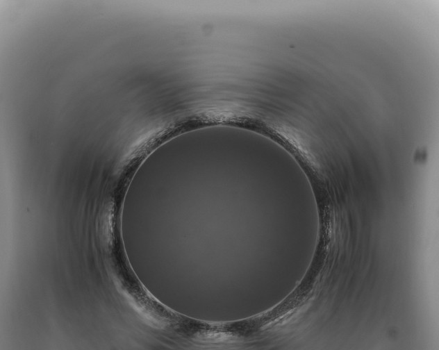 X0000090760590200707271508