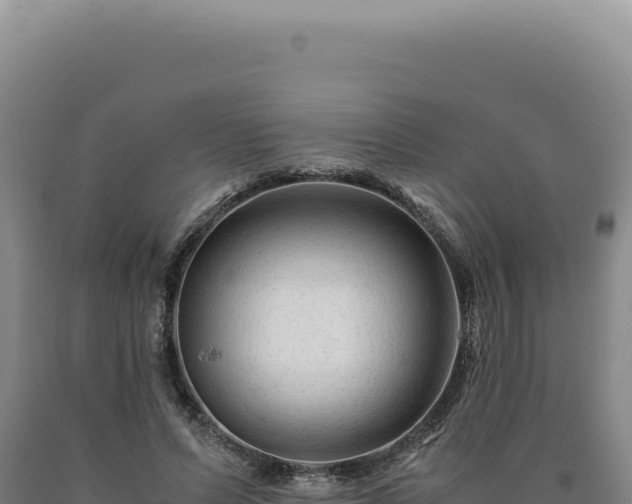 X0000090760591200707271508