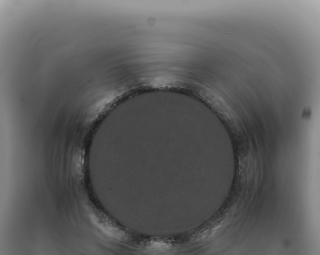 X0000090760592200707271508