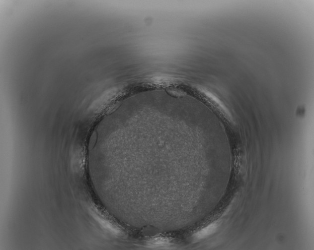 X0000090760593200707271508