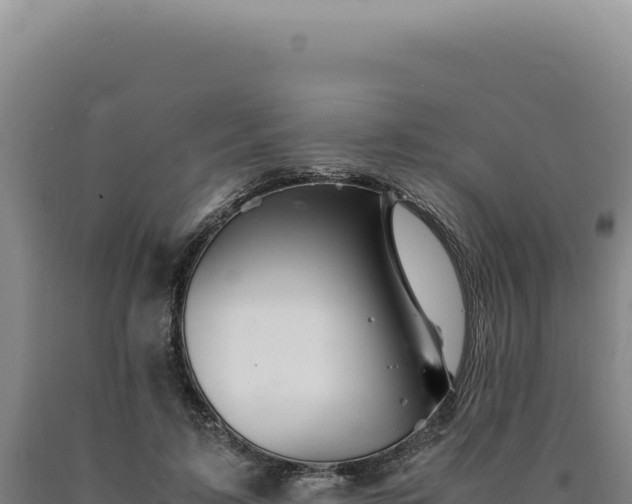 X0000090760595200707271508