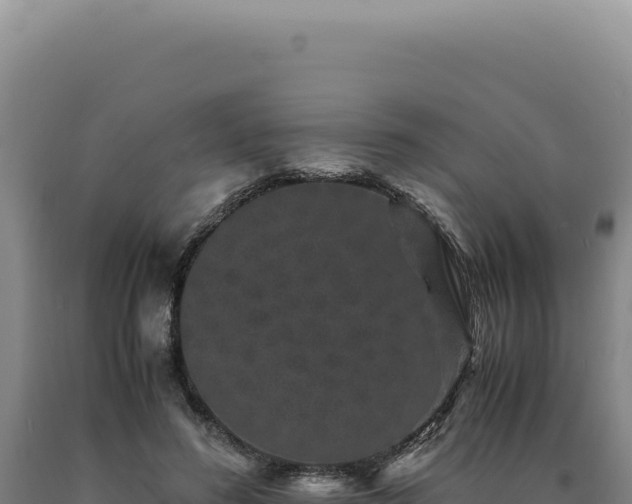 X0000090760596200707271508