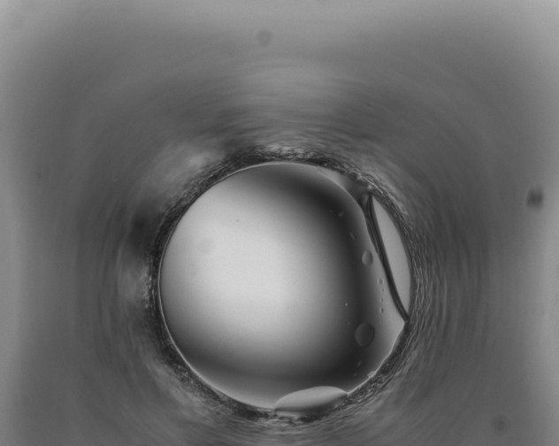 X0000090760597200707271508