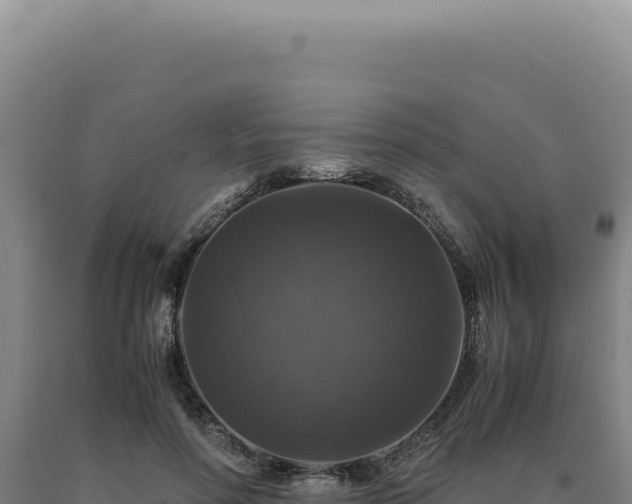 X0000090760598200707271508