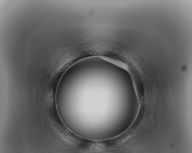 X0000090760599200707271508